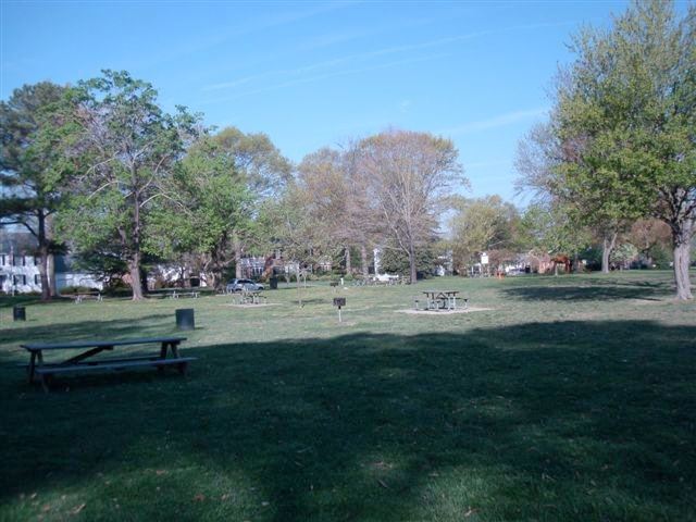 Picnic Tables and Grills Dot an Open Area