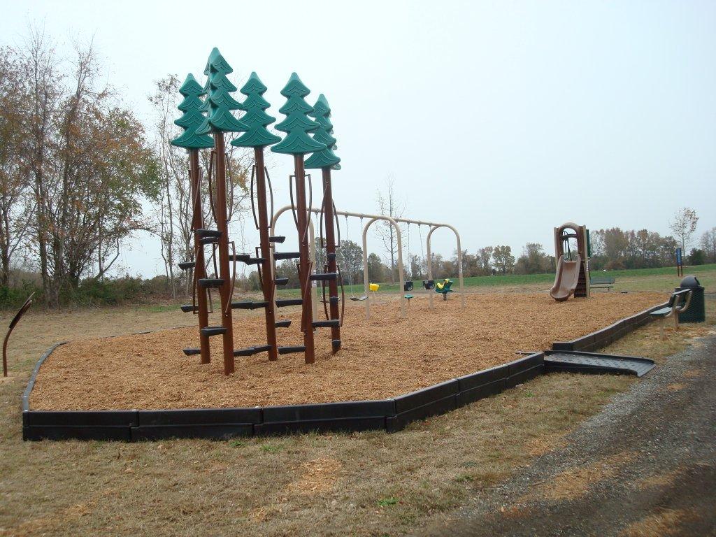 Tree Shaped Climbing Playground Structure