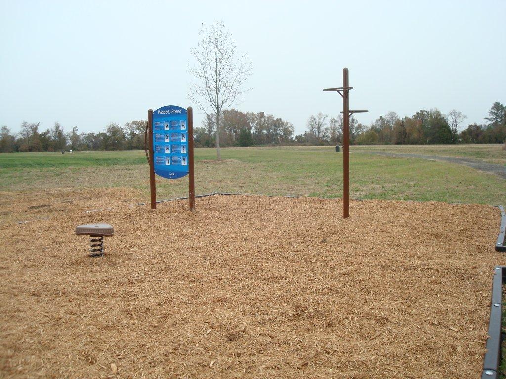 Wobble Board Exercise Station