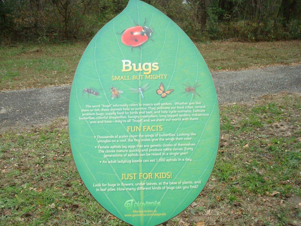 Informational Sign About Bugs
