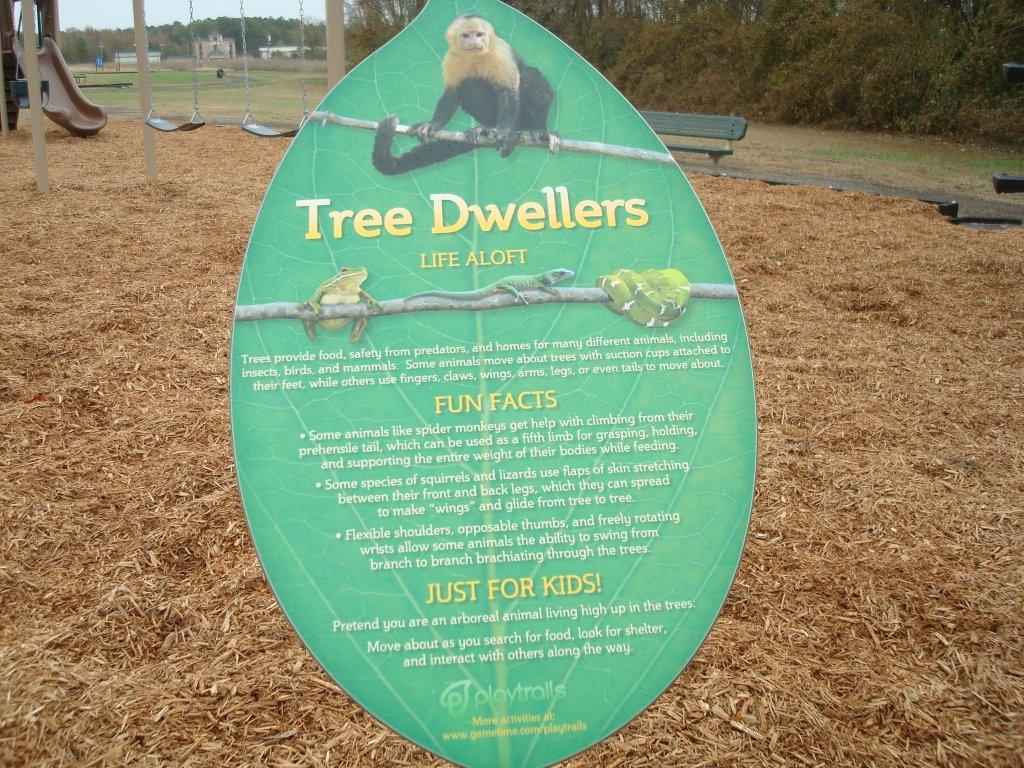 Informational Sign About Tree Dwelling Animals