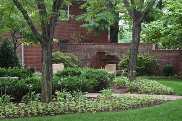 Path Travelling Through a Small Wooded Area in the Center of the Park