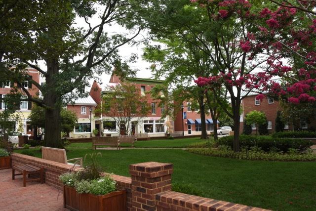 Short Brick Wall Surrounding Natural Area