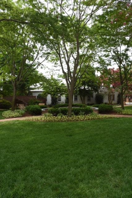 Central Area of the Park