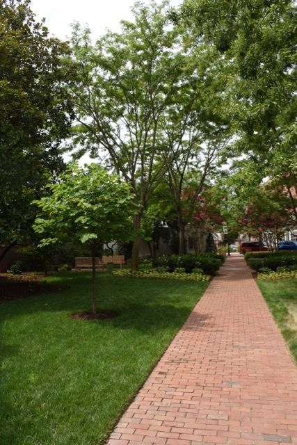 Long Red Brick Path Travelling down the Middle of the Park
